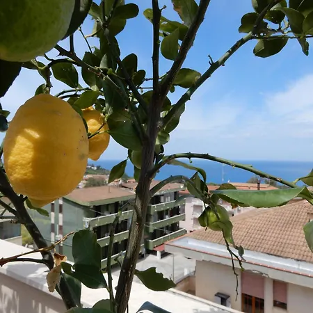 Hotel Middle Town Palace Tropea